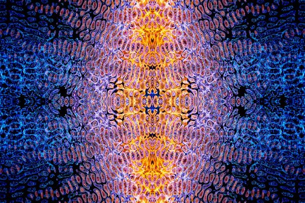 Blue abstract patterns suggesting movement and flexibility